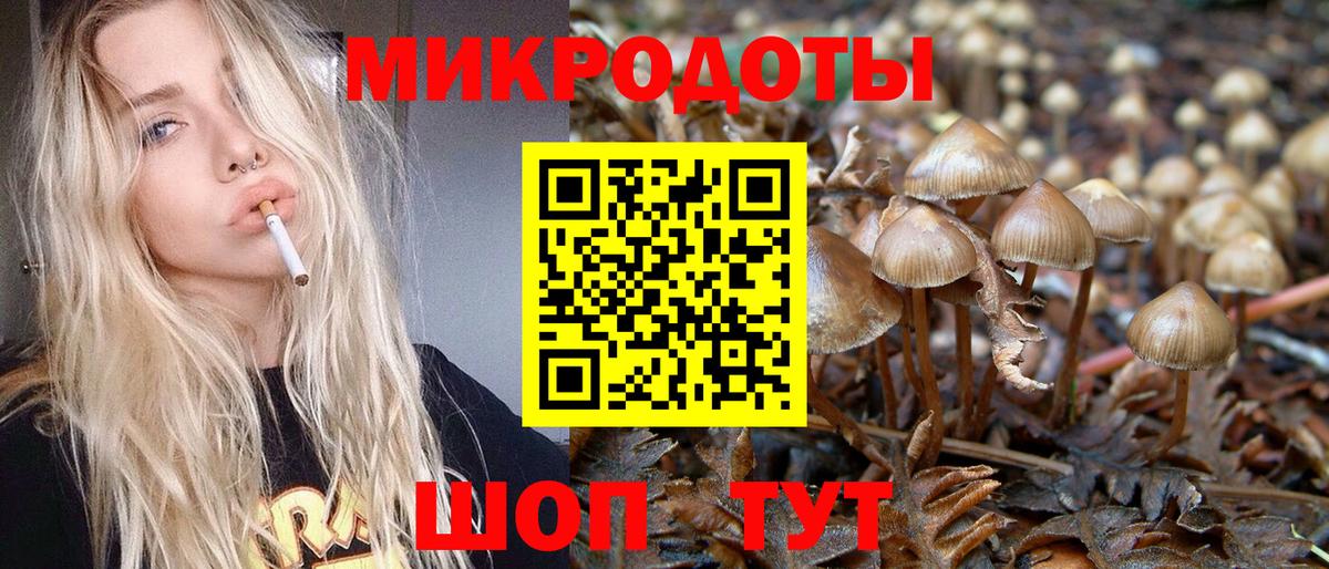 Лесной  Галлюциногенные грибы Magic Shrooms  Вход с VPN 