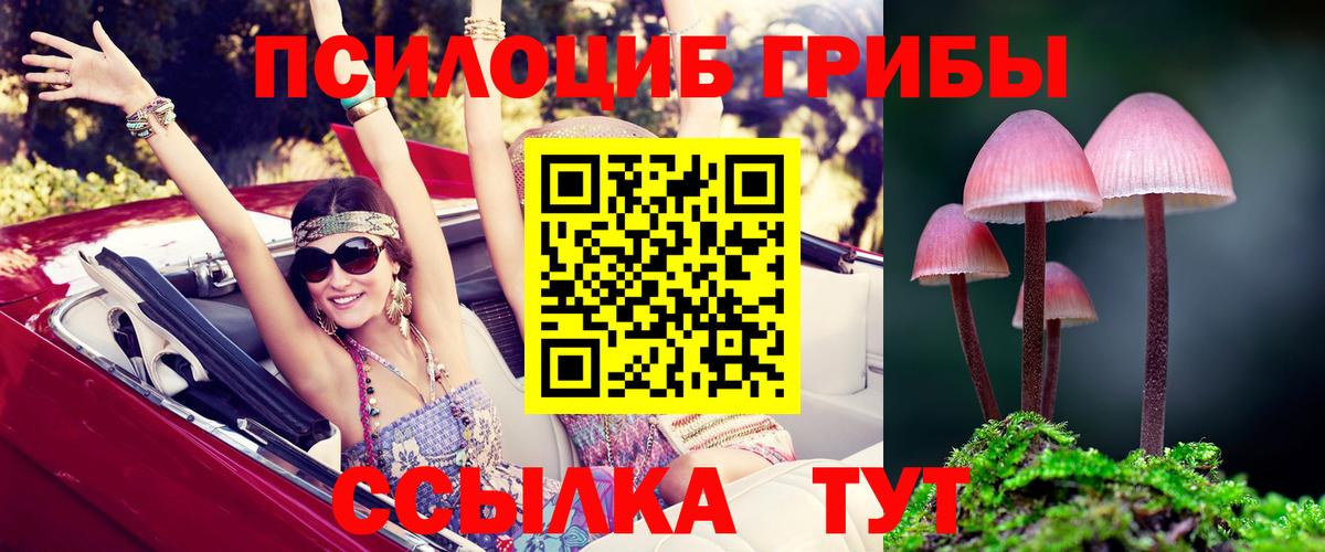 Галлюциногенные грибы GOLDEN TEACHER Лесной
